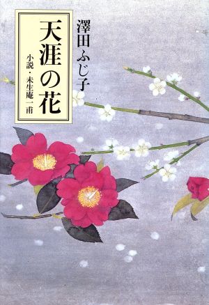 天涯の花 小説・未生庵一甫