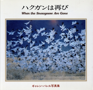 ハクガンは再び ギャレン・バレル写真集