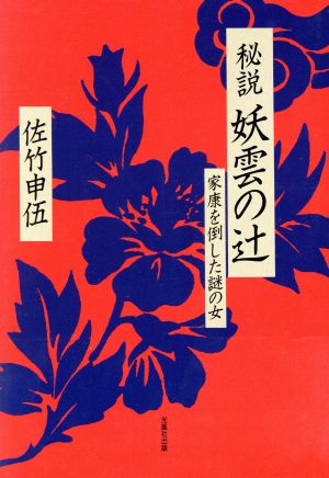 秘説 妖雲の辻 家康を倒した謎の女