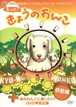 もっと！きょうのわんこ 感動編(+あのわんこに逢いたい！DVD特別編集)