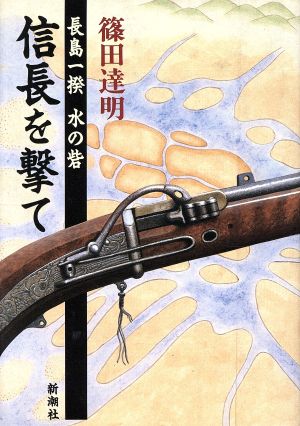 信長を撃て 長島一揆 水の砦