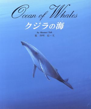 クジラの海