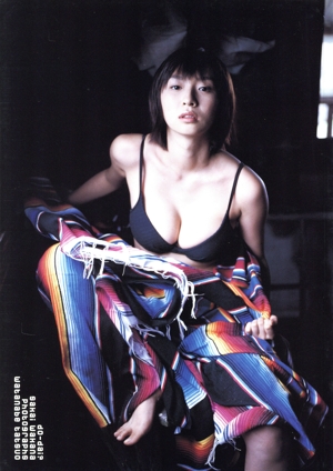 do-dai？ 酒井若菜フィギュア付き写真集