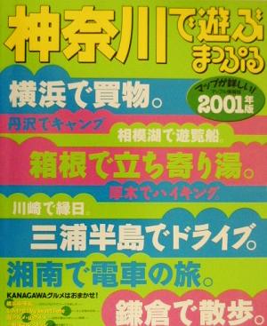 神奈川で遊ぶ(2001) マップル情報版14