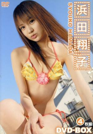 浜田翔子DVD-BOX