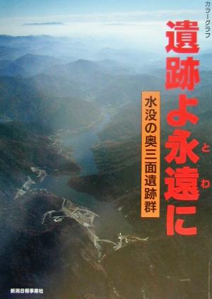 カラーグラフ 遺跡よ永遠に 水没の奥三面遺跡群