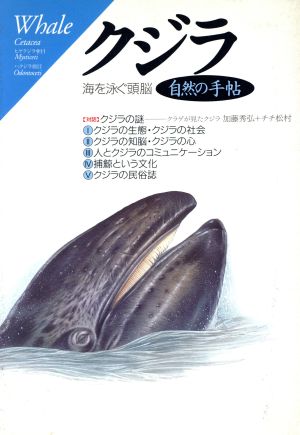 クジラ 海を泳ぐ頭脳 自然の手帖シリーズ