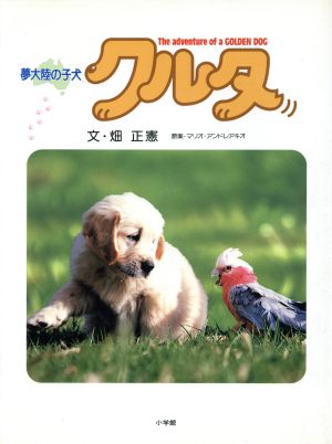 クルタ夢大陸の子犬