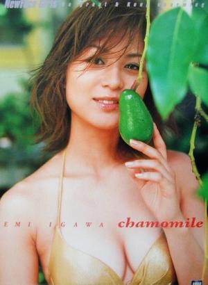 井川絵美写真集 chamomile New Face Girls