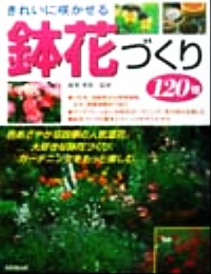 きれいに咲かせる鉢花づくり120種 1年草、宿根草から球根植物、観葉植物まで