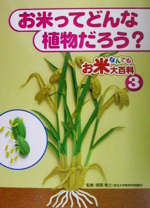 お米なんでも大百科(3)お米ってどんな植物だろう？