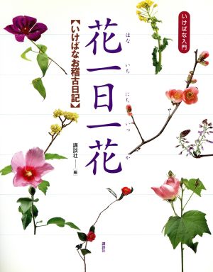 花一日一花 いけばな入門 いけばなお稽古日記