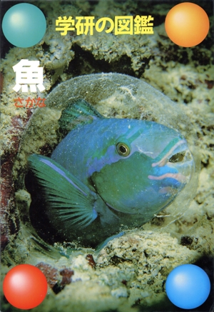 魚 学研の図鑑