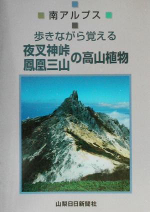 夜叉神峠・鳳凰三山の高山植物 南アルプス歩きながら覚える