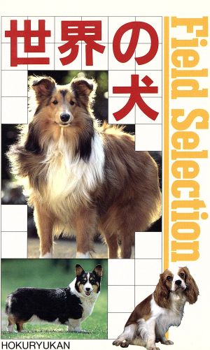 世界の犬 フィールドセレクション17