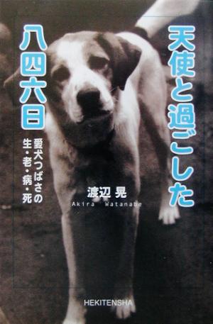 天使と過ごした八四六日 愛犬つばさの生・老・病・死