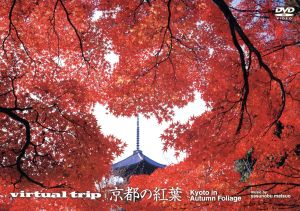 virtual trip 京都の紅葉