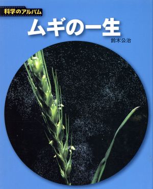 ムギの一生 科学のアルバム91