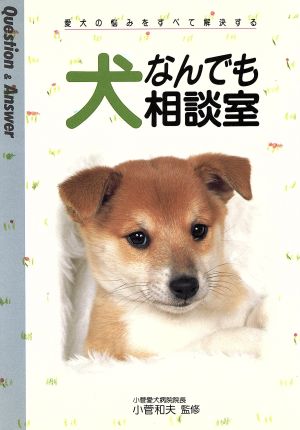 犬なんでも相談室 愛犬の悩みをすべて解決する