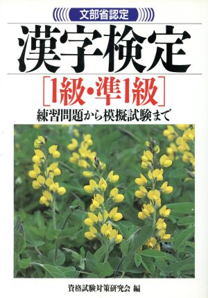 文部省認定 漢字検定1級・準1級 練習問題から模擬試験まで