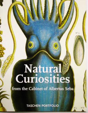 Natural Curiosities ポートフォリオシリーズ