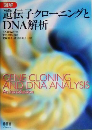 図解 遺伝子クローニングとDNA解析
