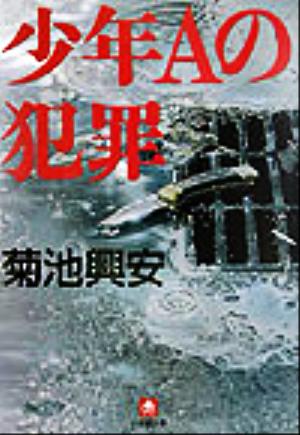 少年Aの犯罪 小学館文庫