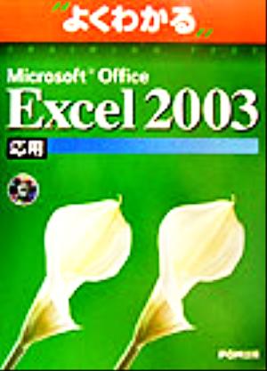 よくわかるMicrosoft Office Excel2003応用