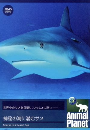 アニマル・プラネット 神秘の海に潜むサメ