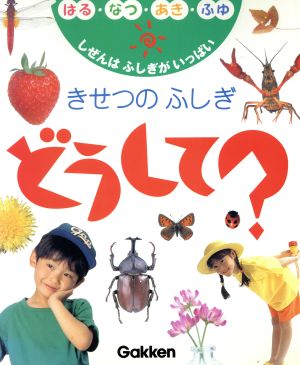 きせつのふしぎ どうして？ しぜんはふしぎがいっぱい はる・なつ・あき・ふゆ