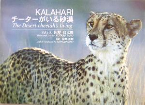 KALAHARI チーターがいる砂漠