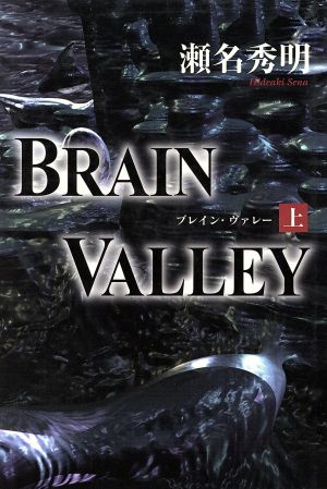 BRAIN VALLEY(上)