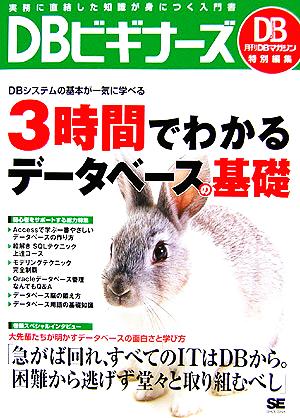 DB Magazine特別編集 DBビギナーズ 実務に直結した知識が身につく入門書