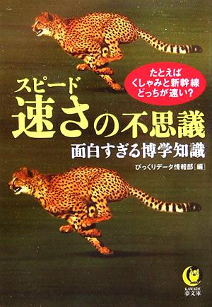 速さの不思議 面白すぎる博学知識 KAWADE夢文庫