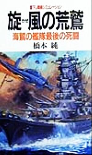 旋風の荒鷲 海鷲の艦隊最後の死闘 BIG BOOKS