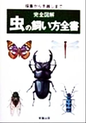 完全図解 虫の飼い方全書 採集から冬越しまで