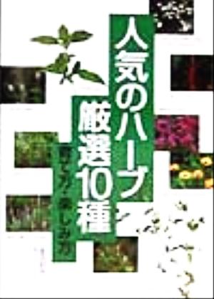 人気のハーブ厳選10種 育て方・楽しみ方