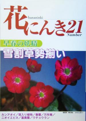 花にんき(ナンバー21)