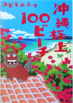 沖縄極上100ビーチ ヴィレッジブックス