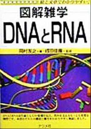 図解雑学 DNAとRNA