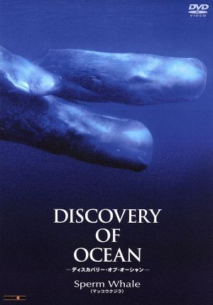 Discovery of Ocean-ディスカバリー・オブ・オーシャン-7