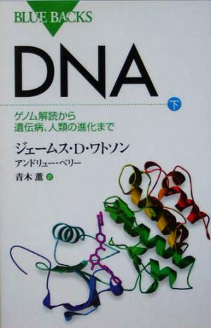DNA(下)ゲノム解読から遺伝病、人類の進化までブルーバックス