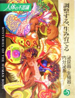 人体の不思議(第5巻) 調整する、生み育てる 泌尿器・生殖器・内分泌系
