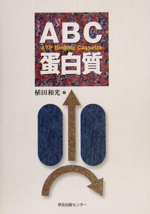 ABC蛋白質