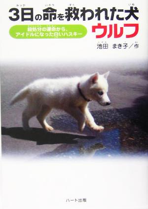 3日の命を救われた犬ウルフ 殺処分の運命からアイドルになった白いハスキー ドキュメンタル童話・犬シリーズ