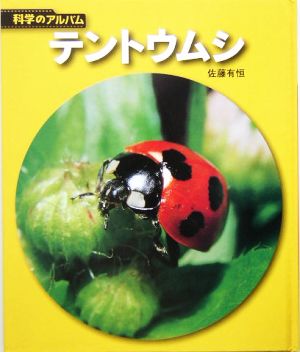 テントウムシ 科学のアルバム