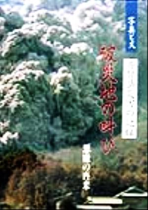 普賢岳災害の記録 被災地の叫び 悪魔の再来