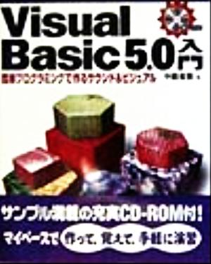 Visual Basic5.0入門 簡単プログラミングで作るサウンド&ビジュアル