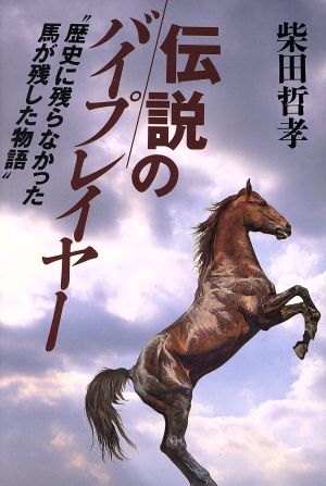 伝説のバイプレイヤー“歴史に残らなかった馬が残した物語