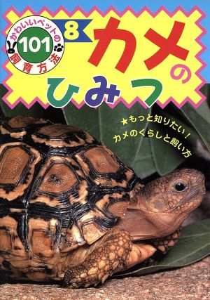 カメのひみつ かわいいペットの飼育方法1018